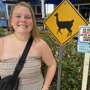 Fundraising Page: Anya Zvorsky